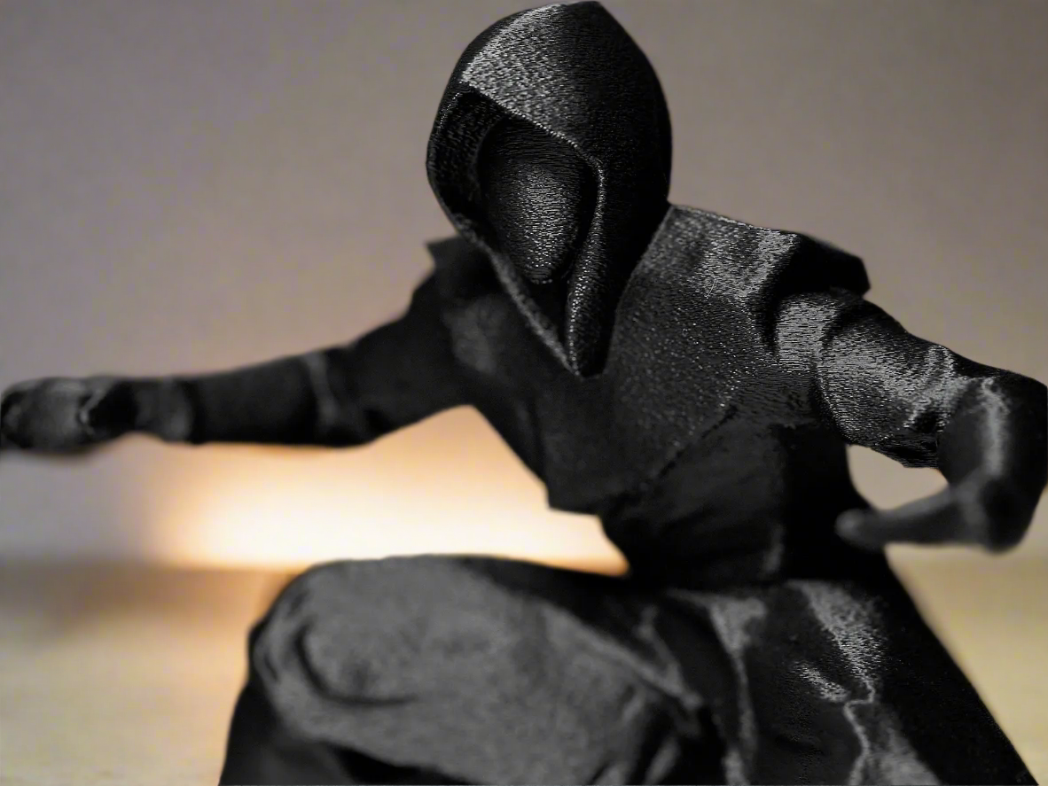 Shadow Ninja Warrior