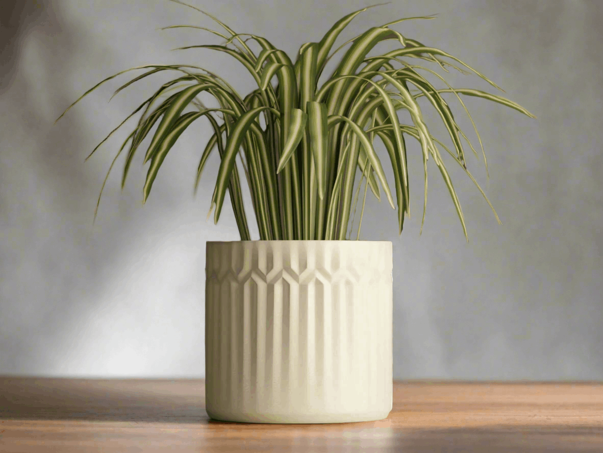 Plant Pot 3 - Modern Accent