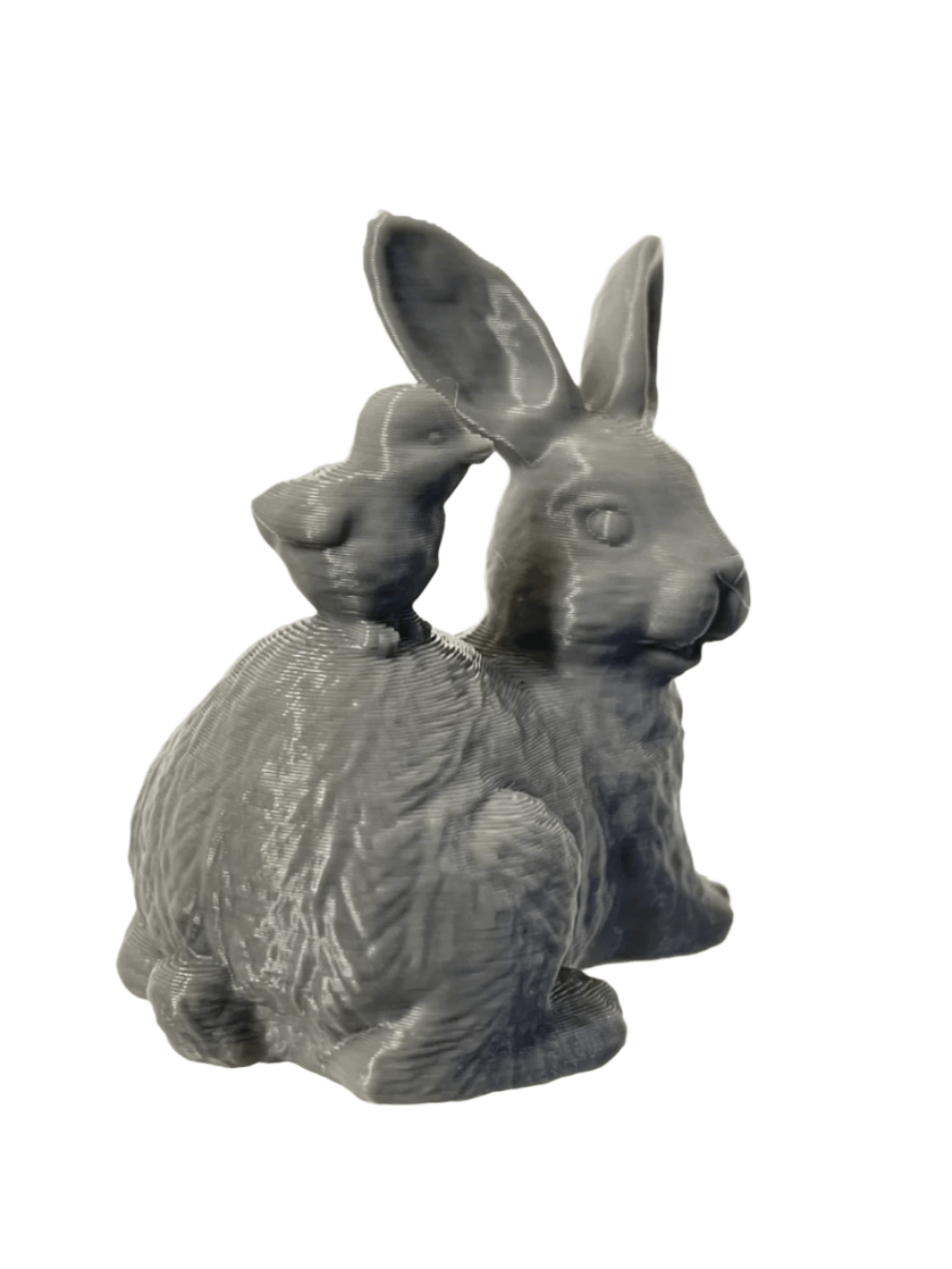 Cute Easter Bunny with Chick