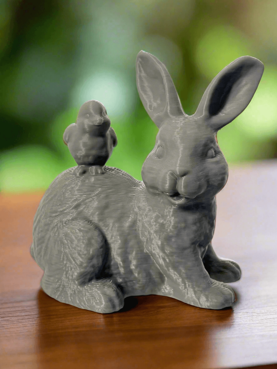 Cute Easter Bunny with Chick
