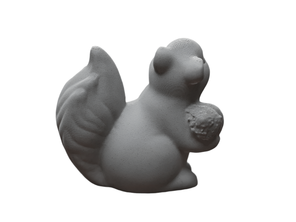 Cute Happy Squirrel