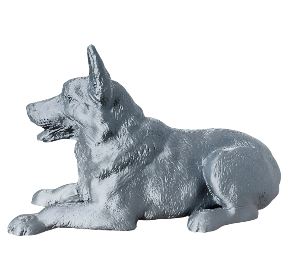 Detailed Shepherd Dog