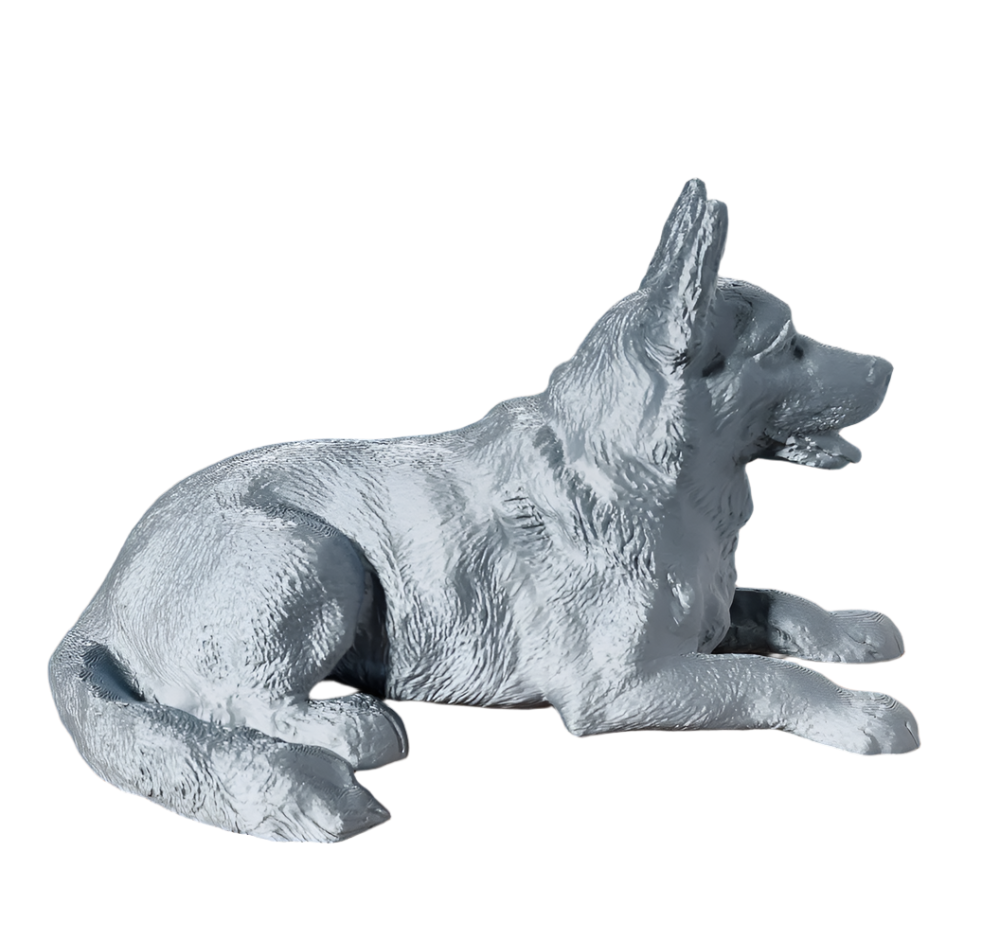 Detailed Shepherd Dog