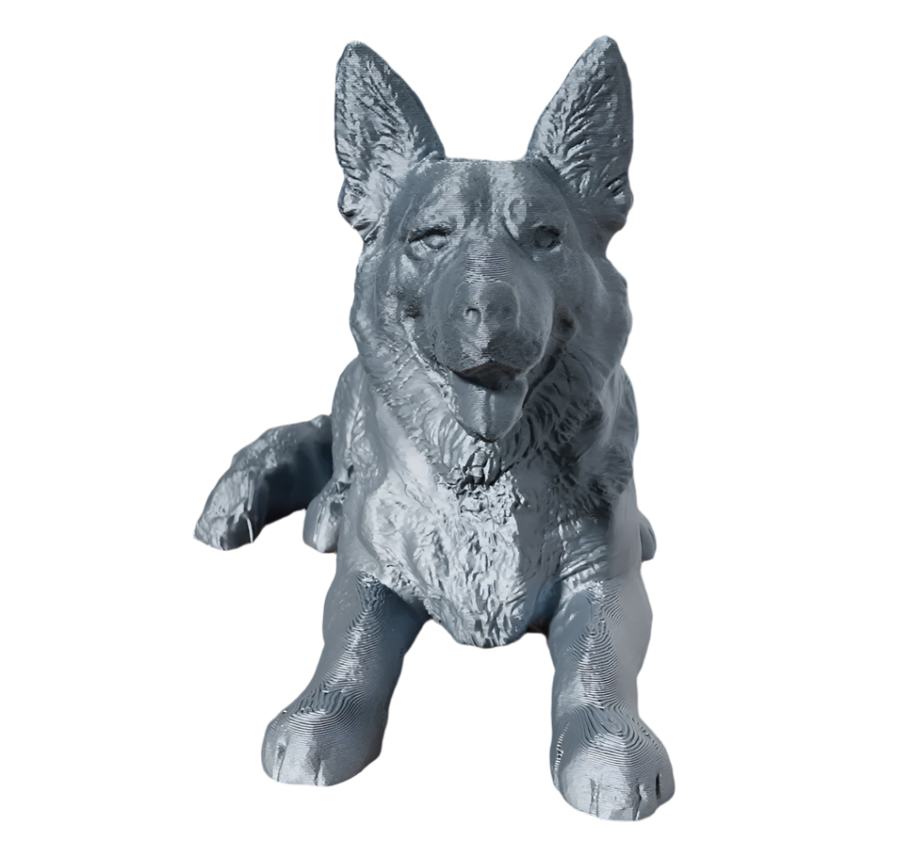 Detailed Shepherd Dog