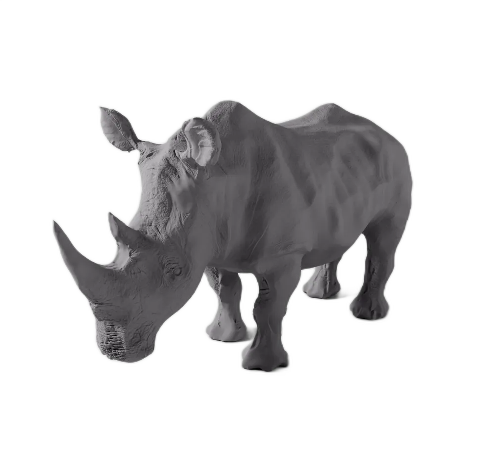 High Detail Rhinoceros