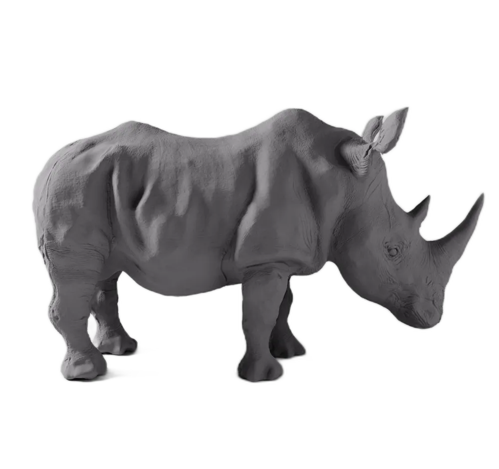High Detail Rhinoceros