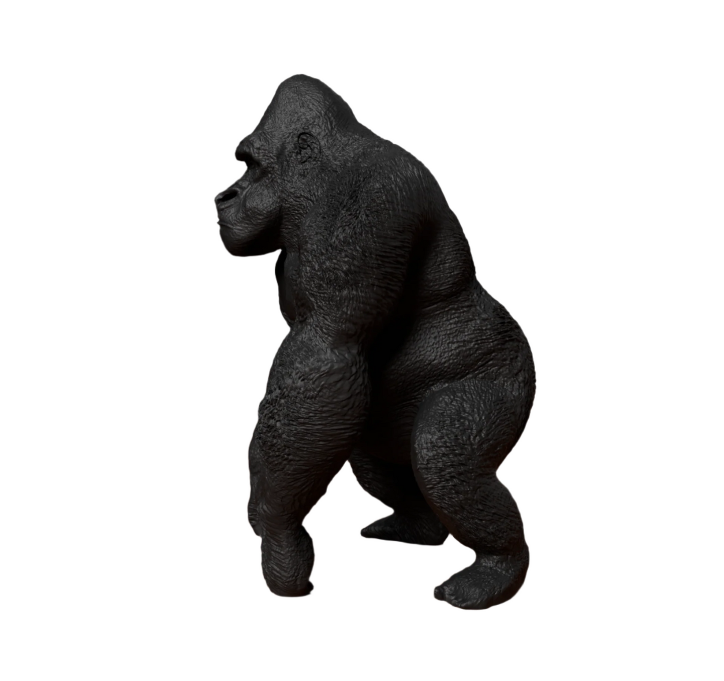 High-Detail Gorilla