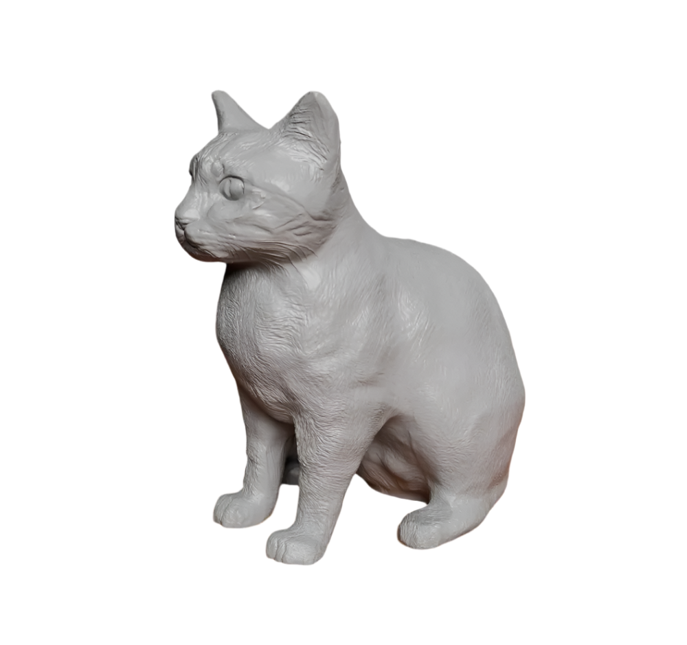 High Detail Sitting Cat