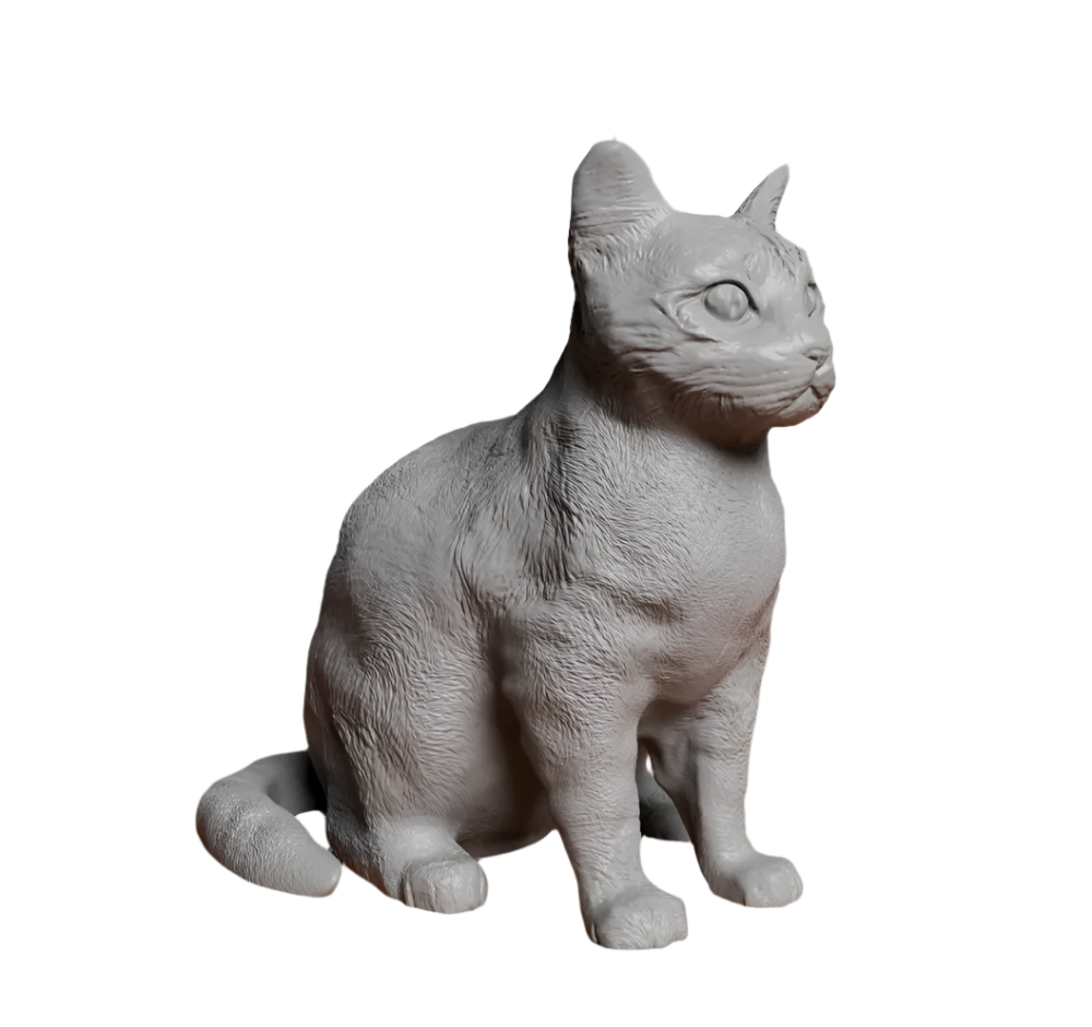 High Detail Sitting Cat
