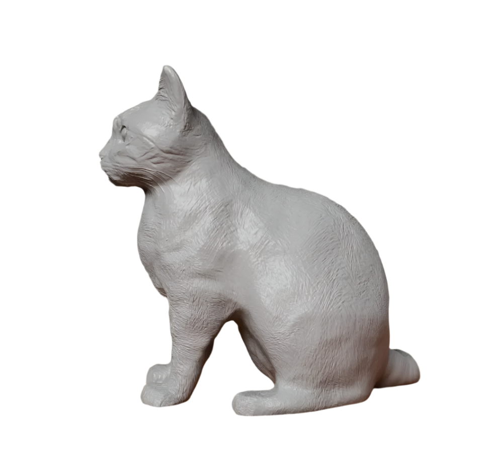 High Detail Sitting Cat