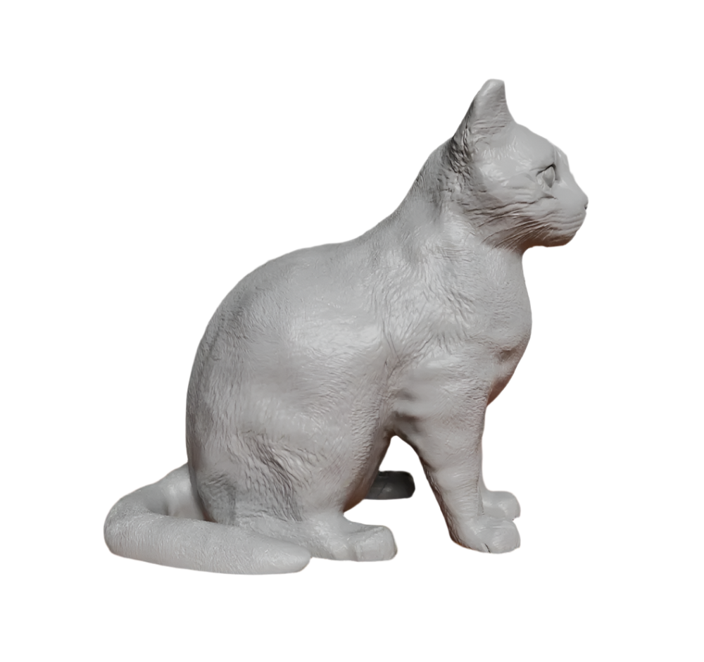 High Detail Sitting Cat