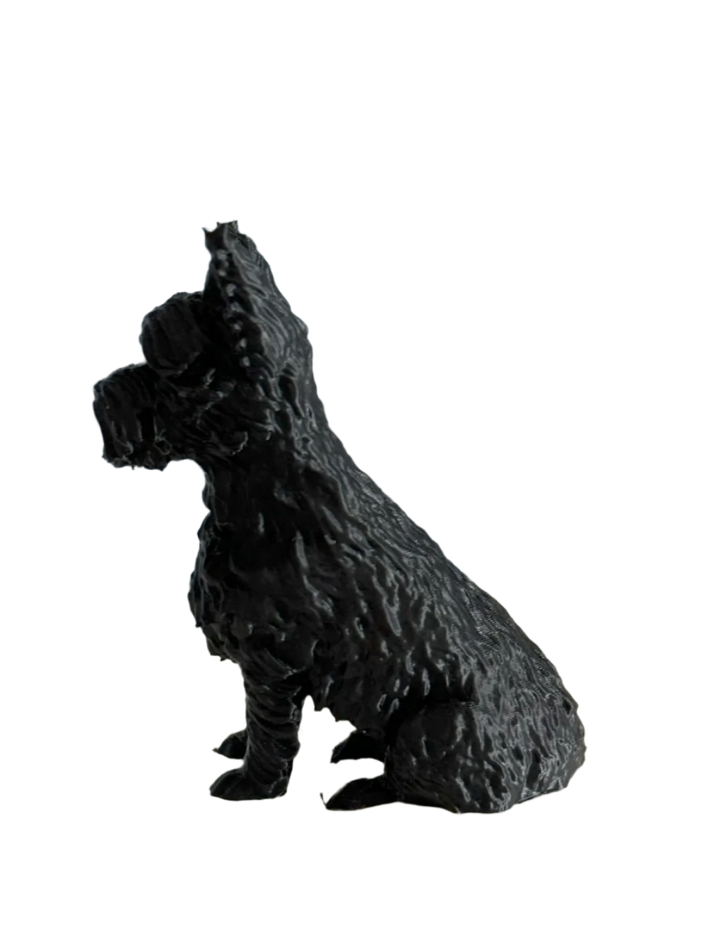 Terrier Dog