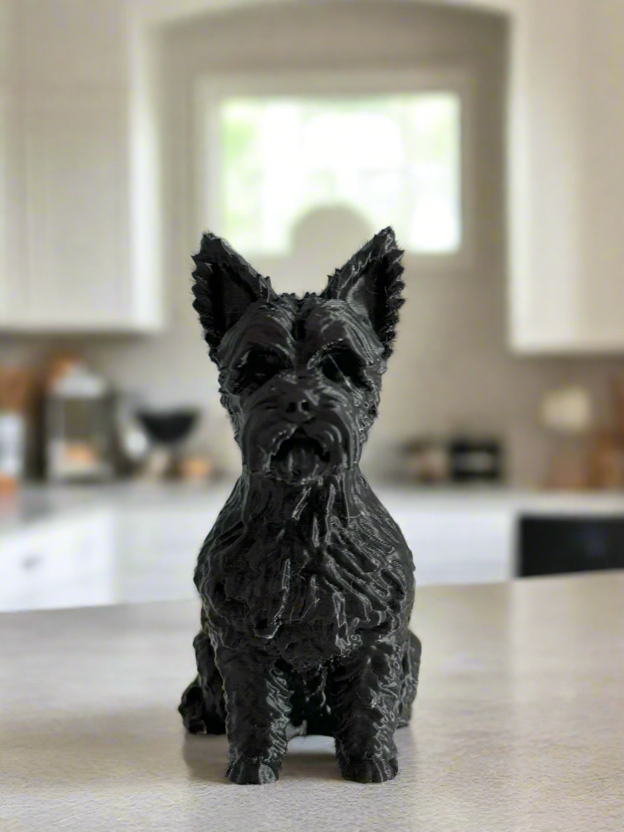 Terrier Dog
