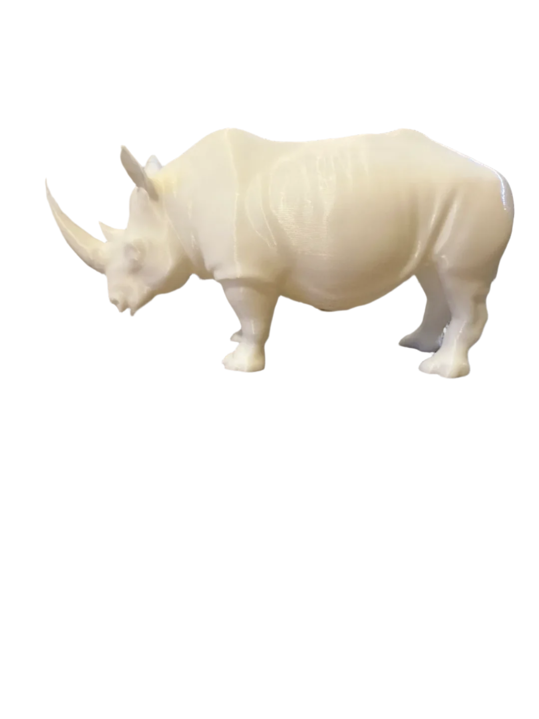 Rhino