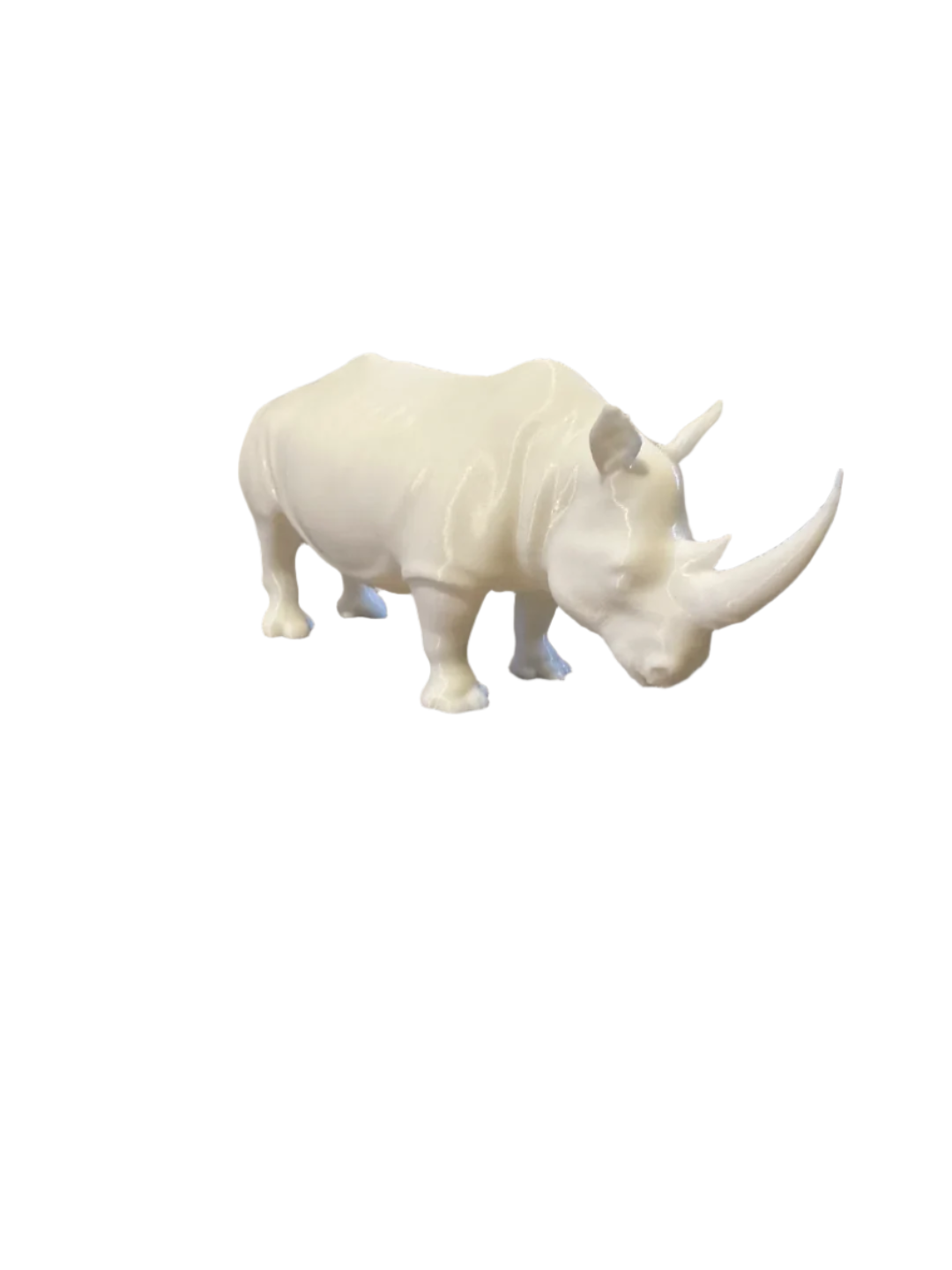 Rhino