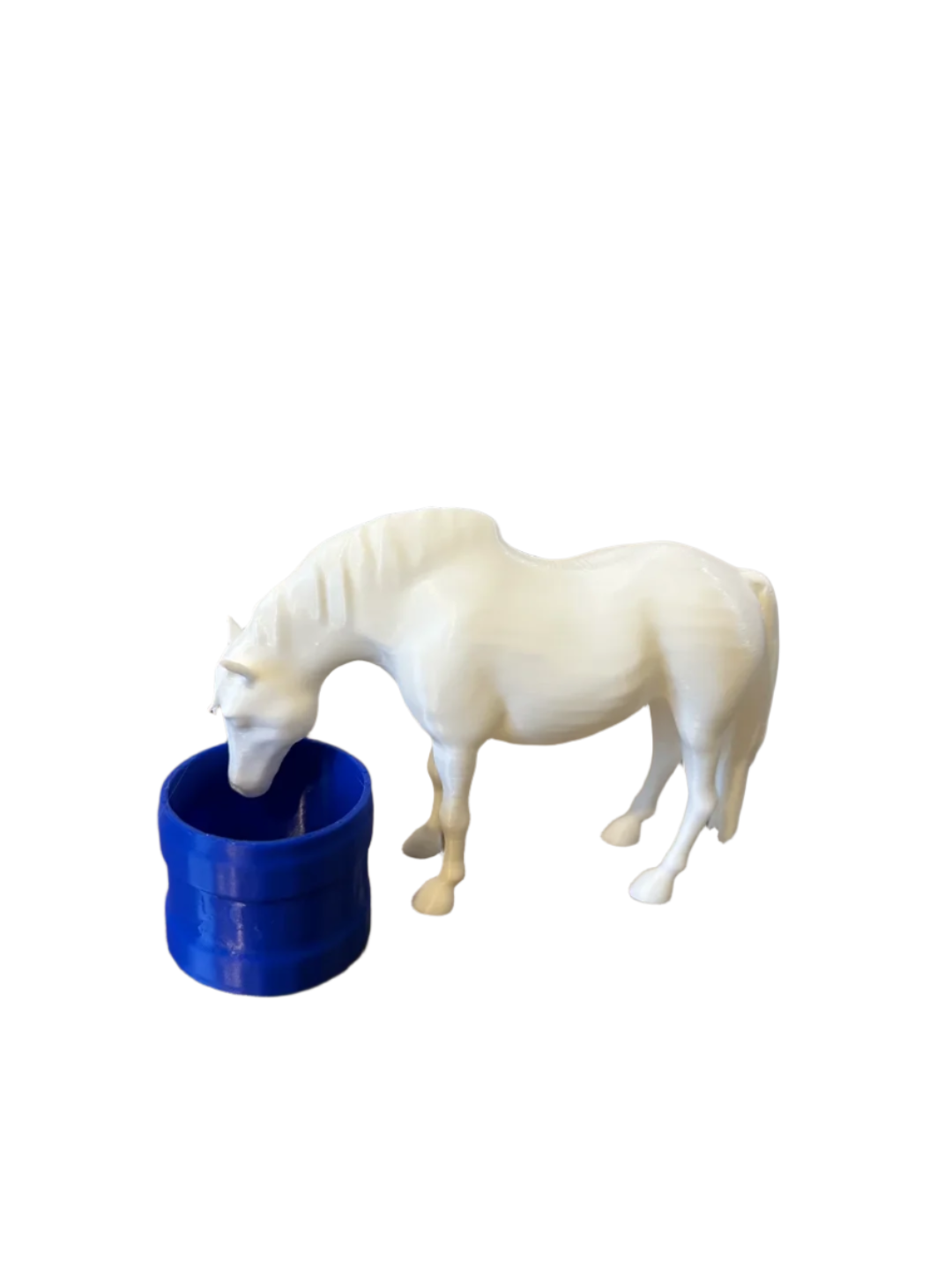 Horse Drinking from Barrel