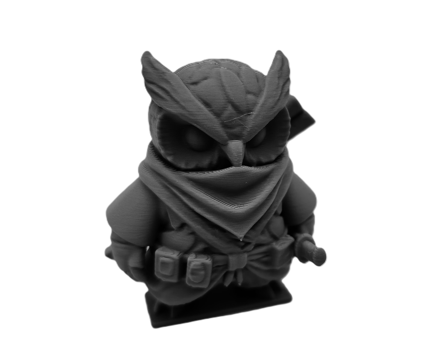 Ninja of Owls & Dragons
