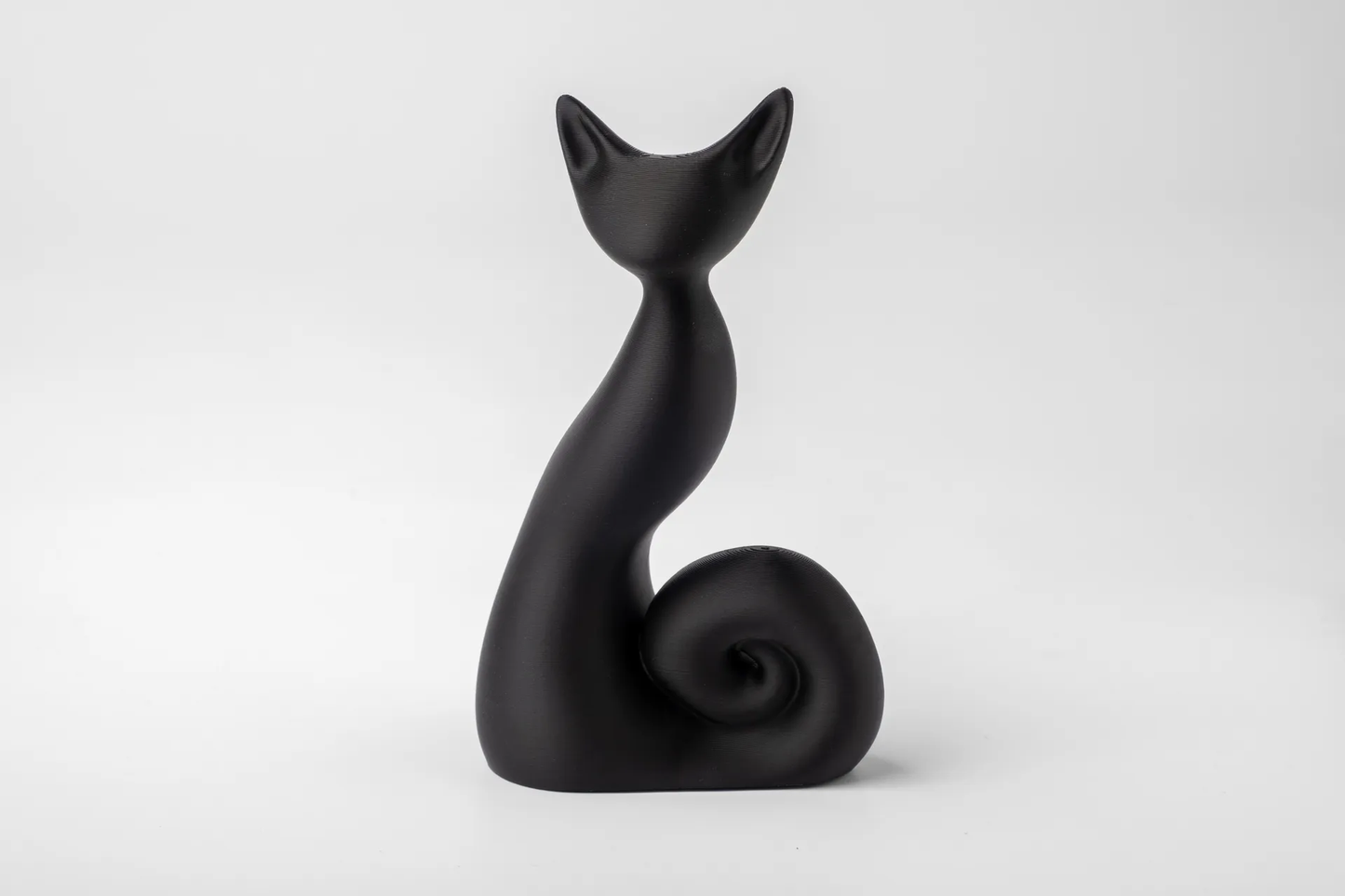 Shadow Curl Black Cat
