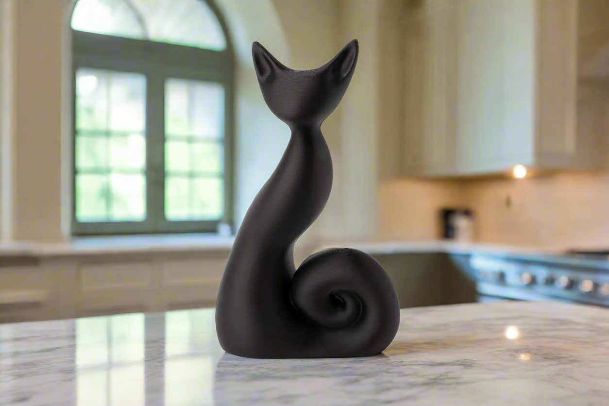Shadow Curl Black Cat