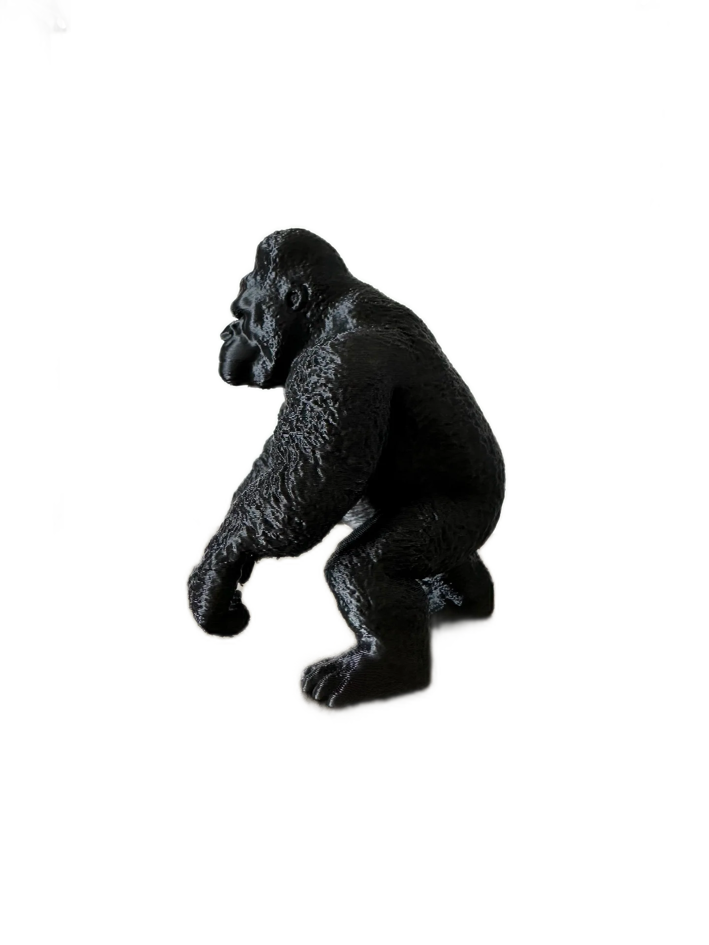 Silverback Gorilla