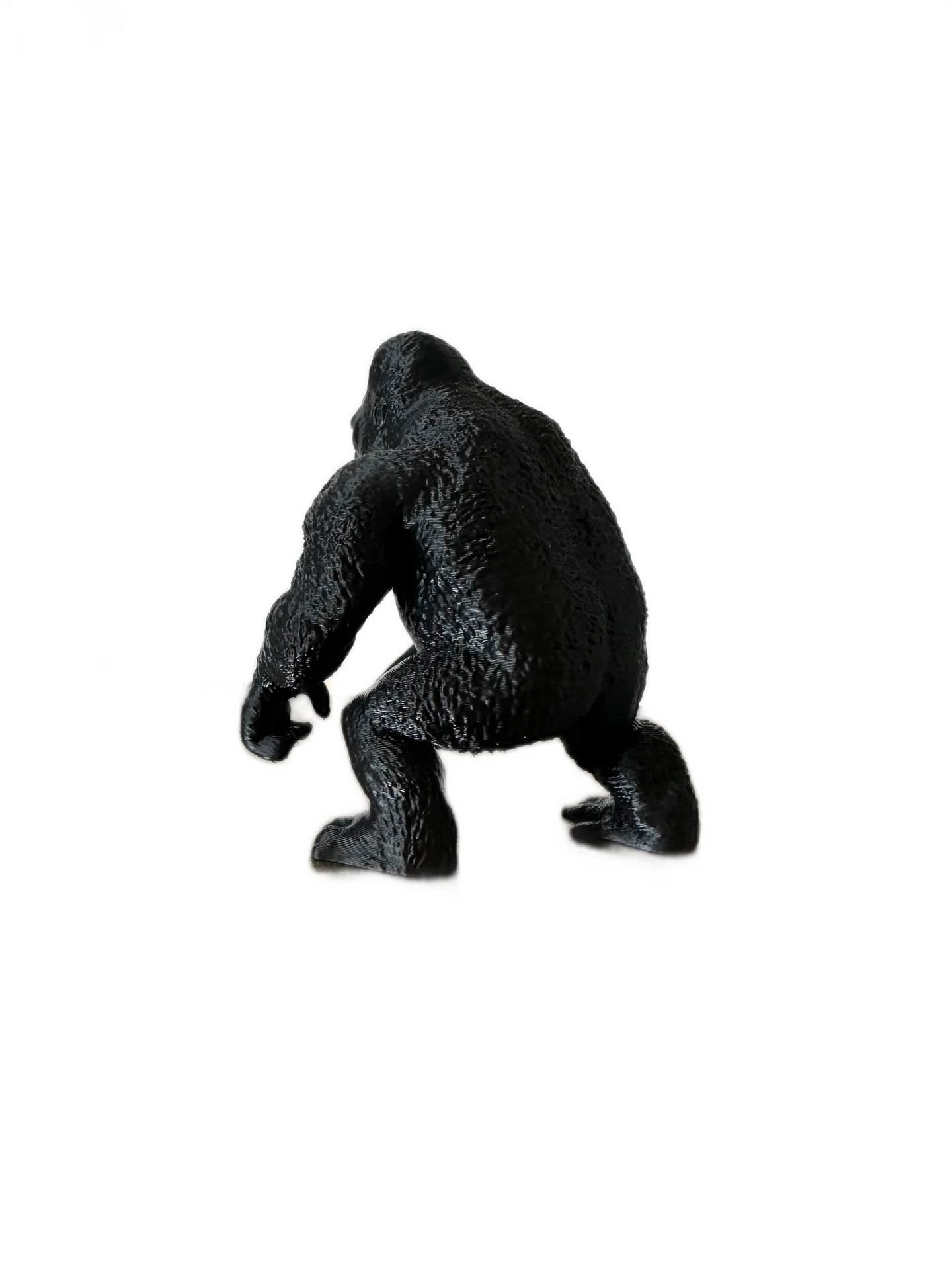 Silverback Gorilla