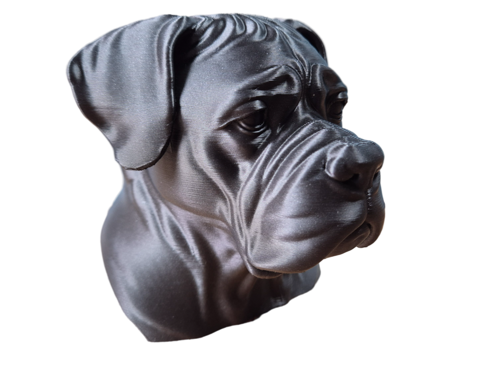 Cane Corso Noble – Dog Breed Bust Sculpture | Majestic Tabletop Decor & Gift for Indian Pet Lovers