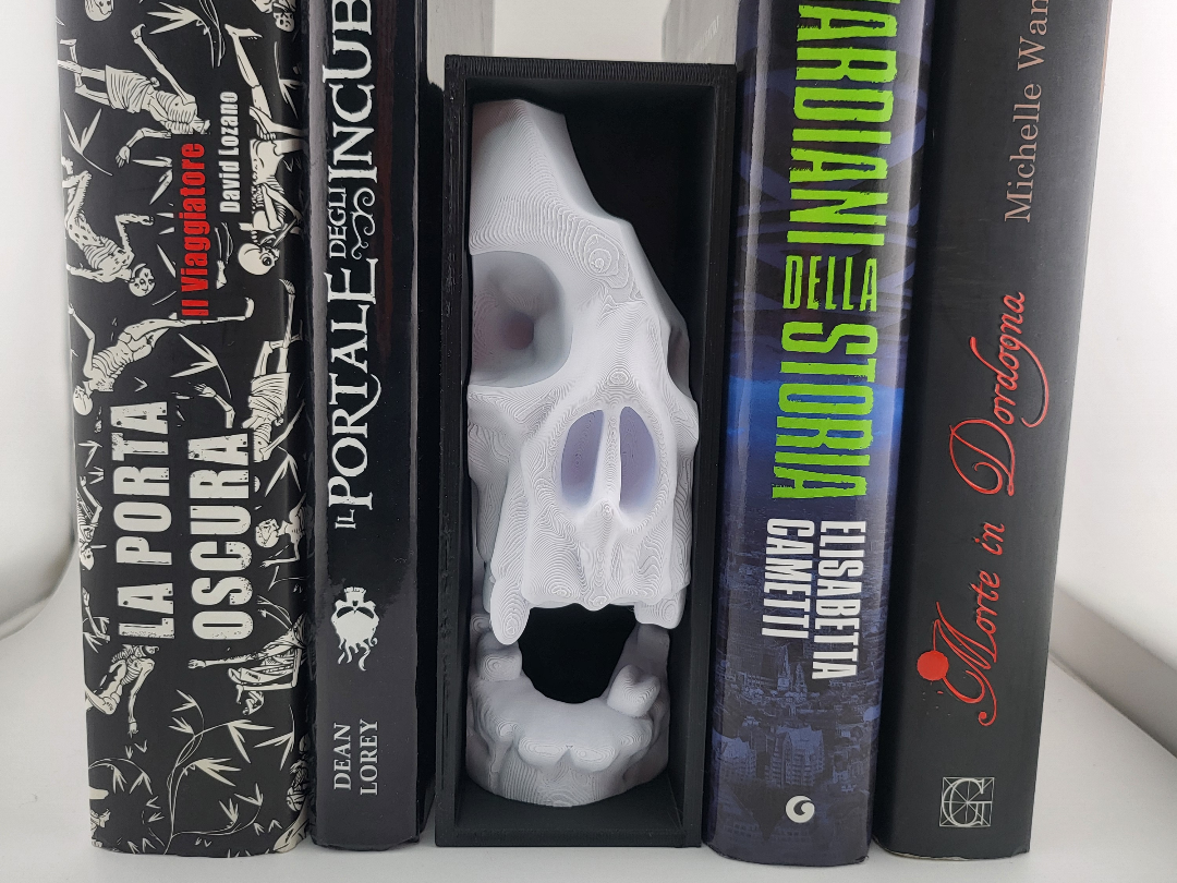 Broken Skull Book Nook