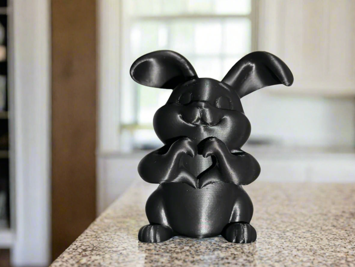 Black Bunny Making Heart Shape