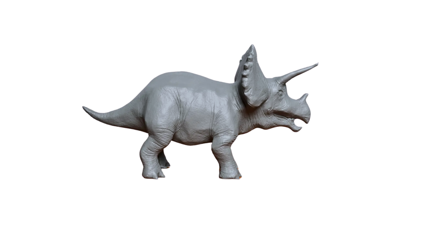 Triceratops Model