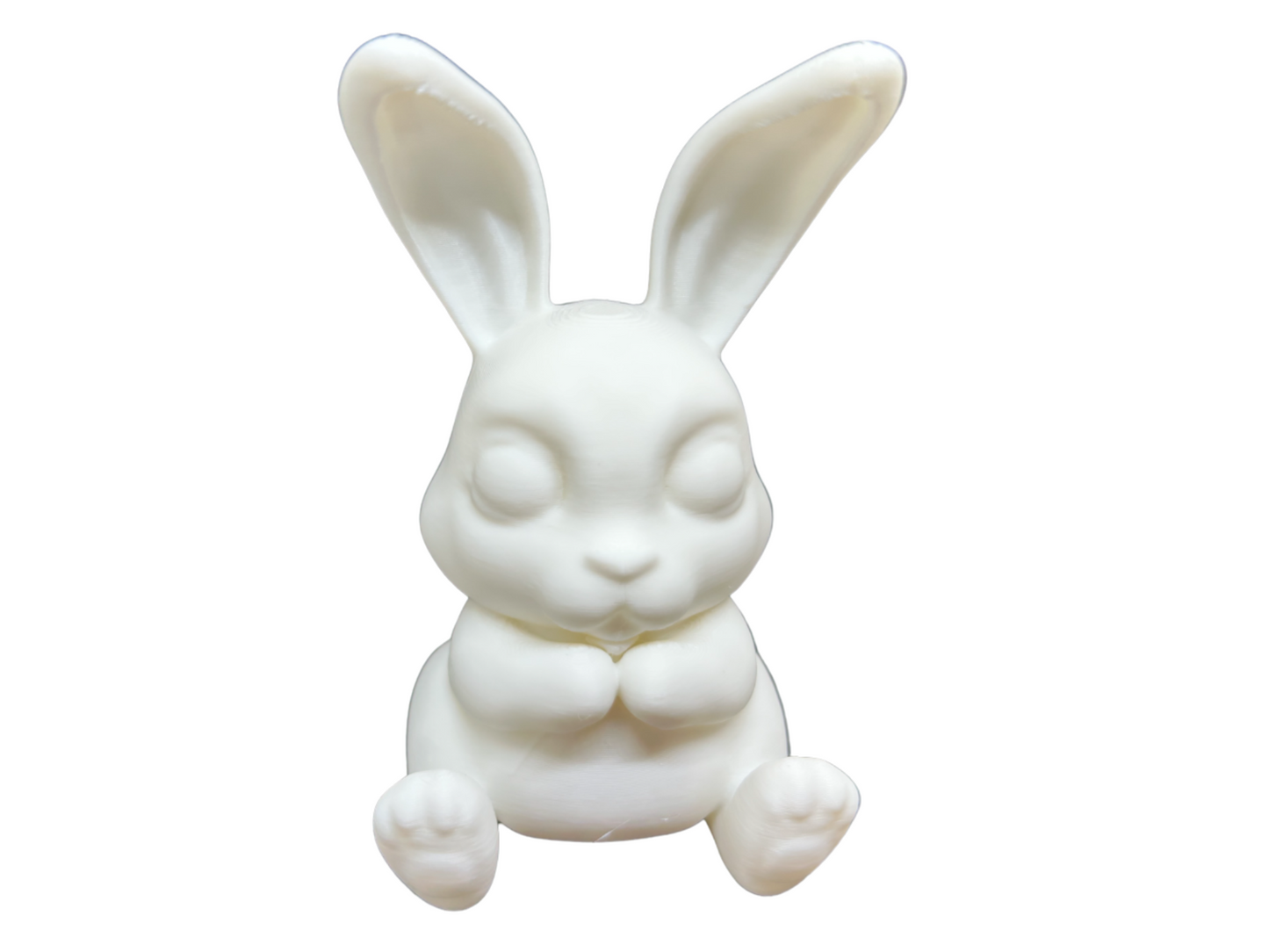 Cute Bunny