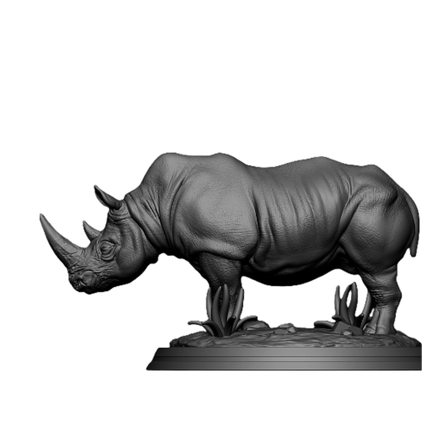 Robust Rhino Model