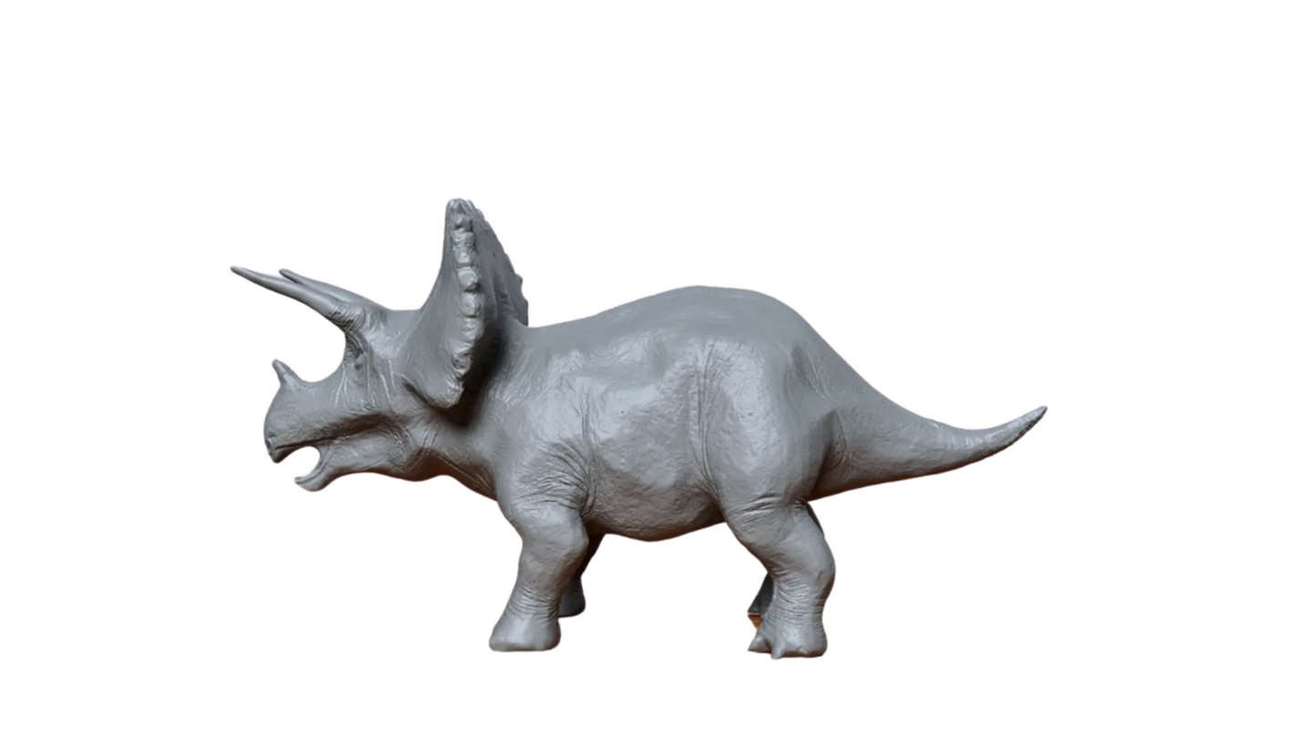 Triceratops Model