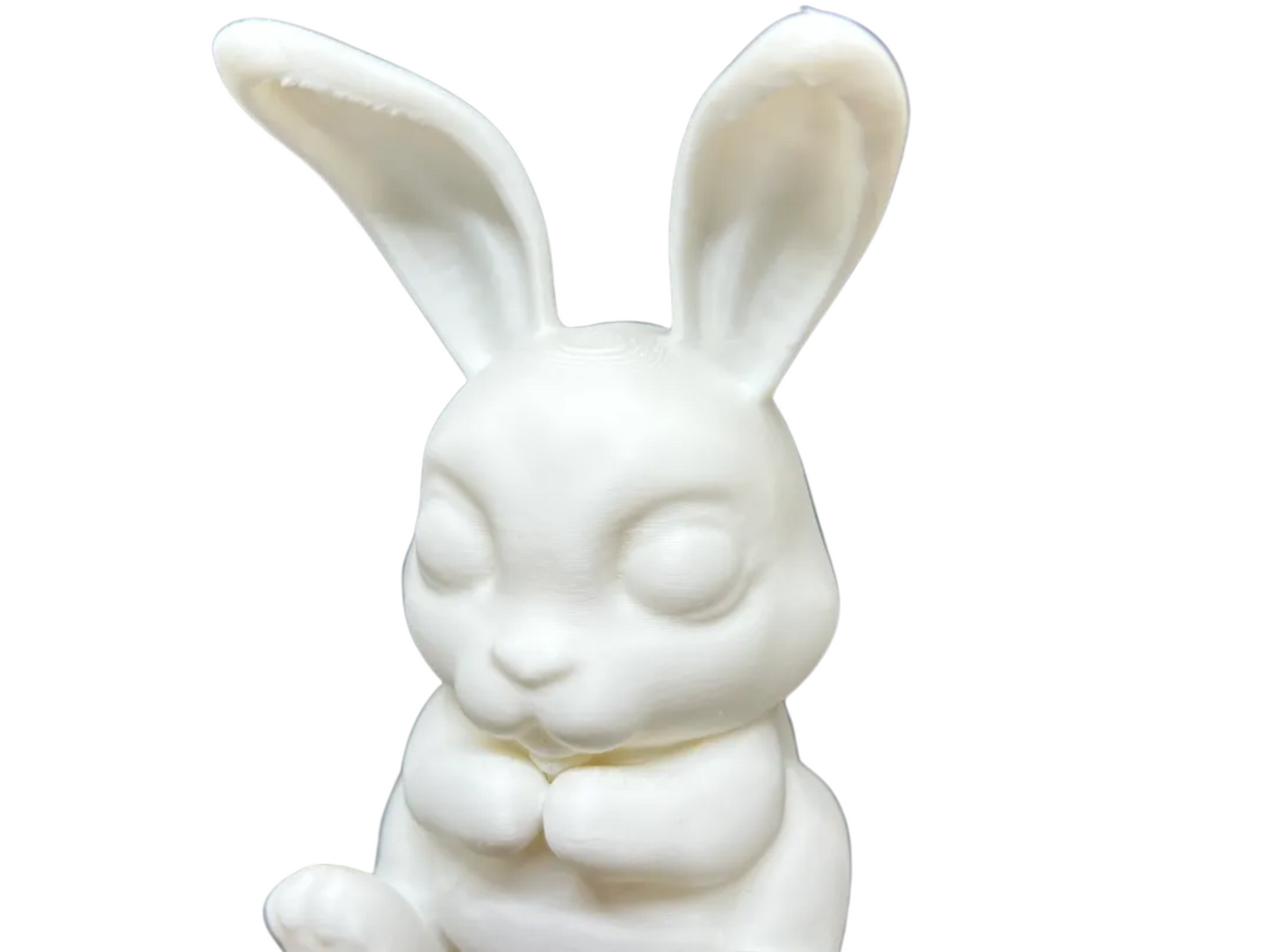 Cute Bunny