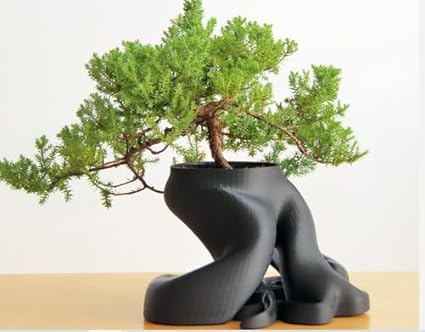 3D Printed Bonsai Planter: Elegant Greenery Display (No Flowers) - Celestial Crafts