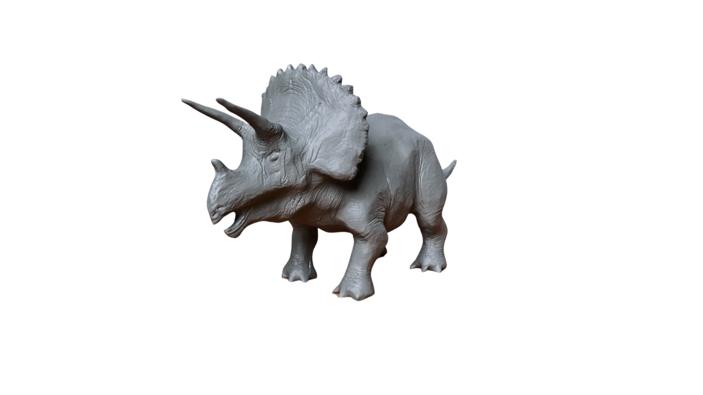 Triceratops Model