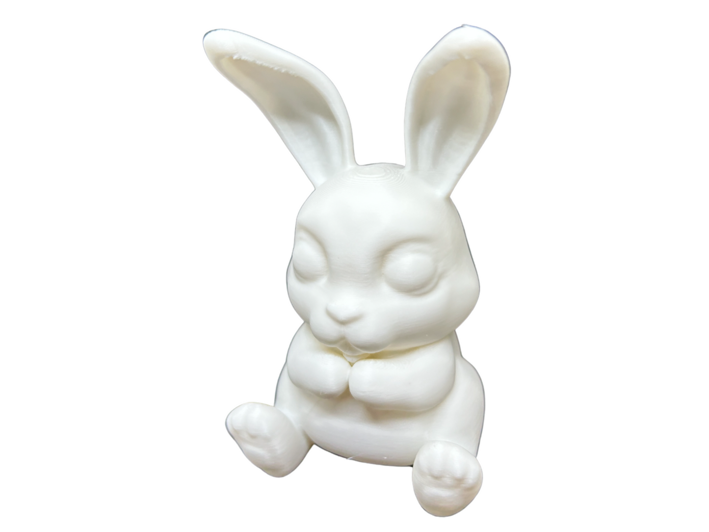 Cute Bunny