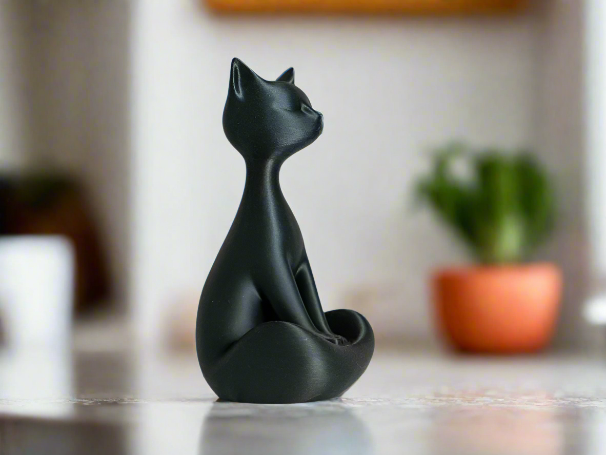 Black Cat Chic