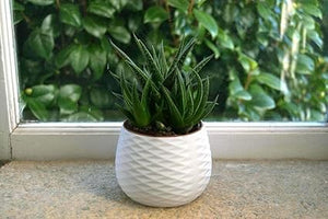 Home decor - Elegant 3D Printed White Home Decor Pot: Minimalist Charm for Modern Spaces (No Flowers) - Celestial Crafts