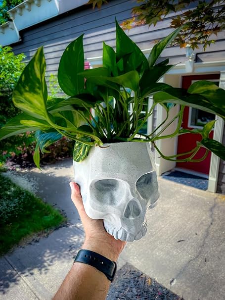Large Skull Planter for Indoor and Outdoor Decor (No Flowers) - Celestial Crafts