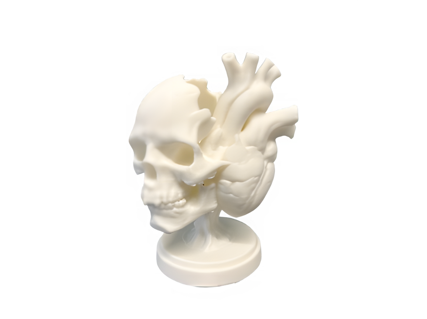 Skull Heart Evolution Accent