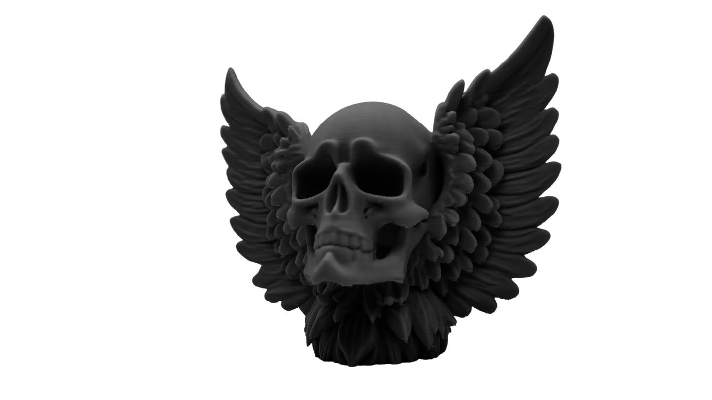 Skull with Wings