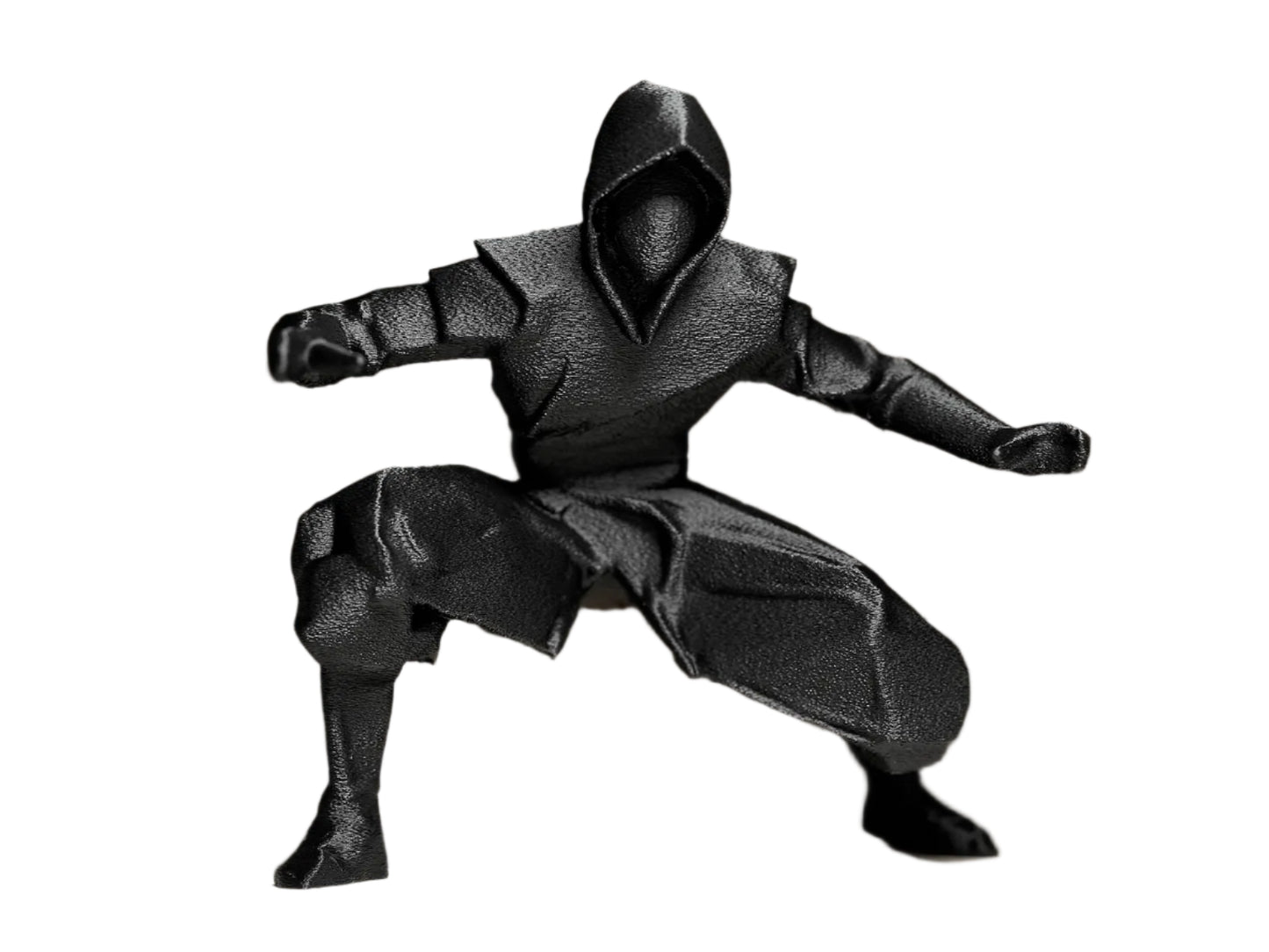 Shadow Ninja Warrior