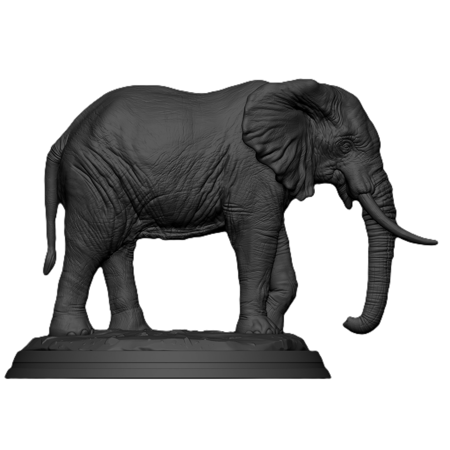 Timeless Elephant – Symbol of Strength & Wisdom