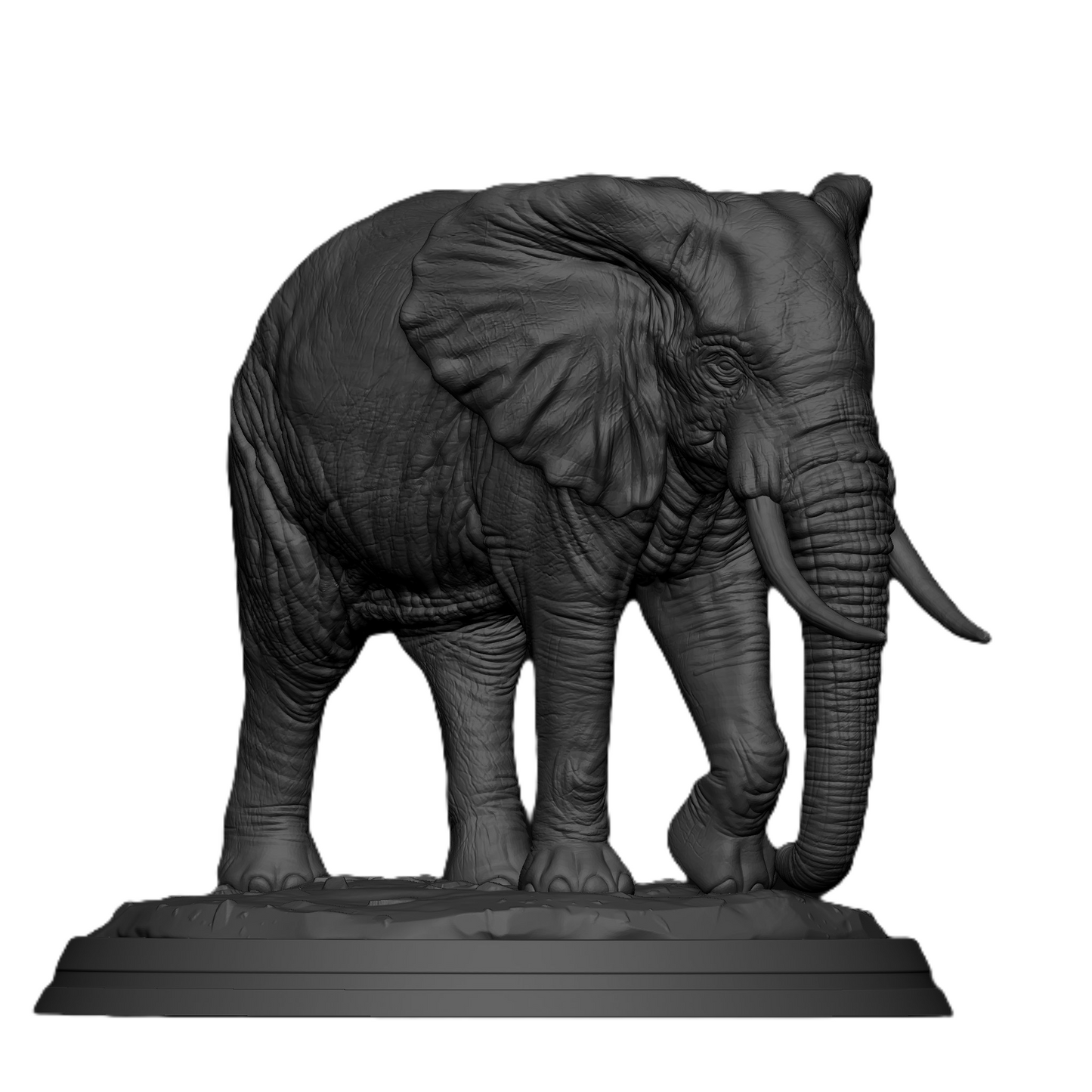 Timeless Elephant – Symbol of Strength & Wisdom