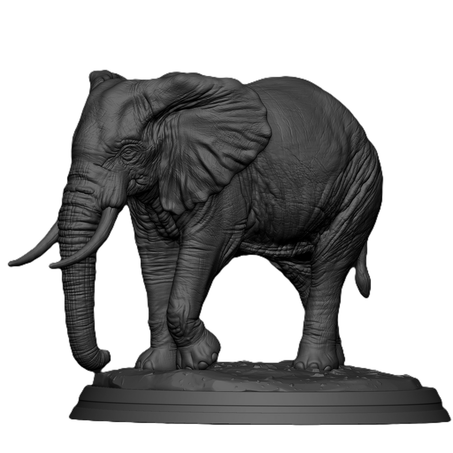 Timeless Elephant – Symbol of Strength & Wisdom