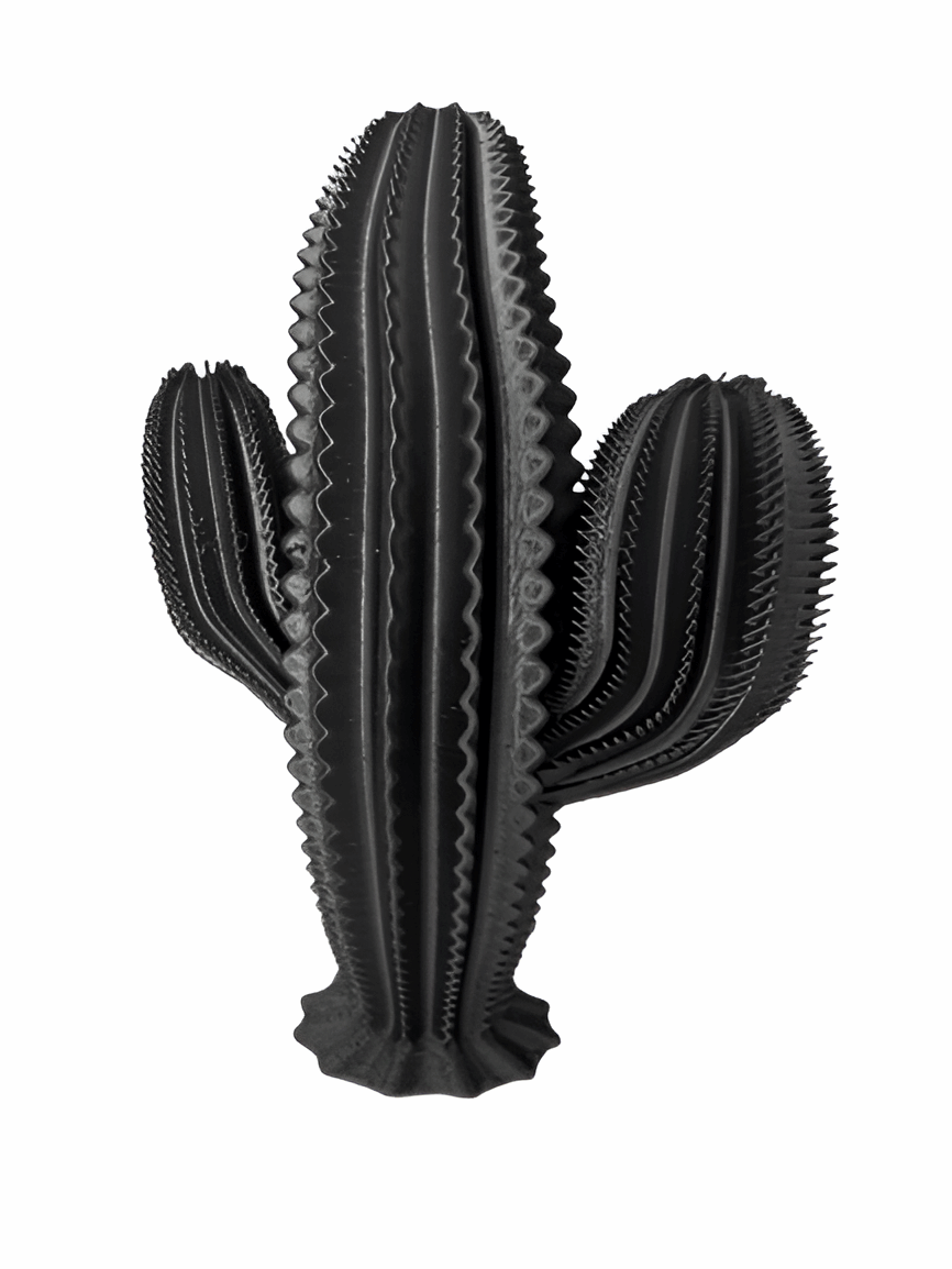 3D Printed Cactus Home Decor – Unique Minimalist Sculpture