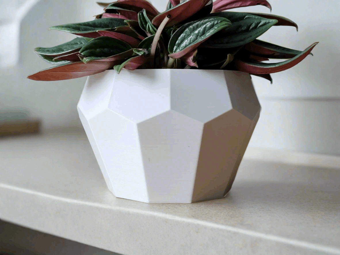 Tall Geometrical Bonsai Pot – Elegant 3D-Printed Plant Holder