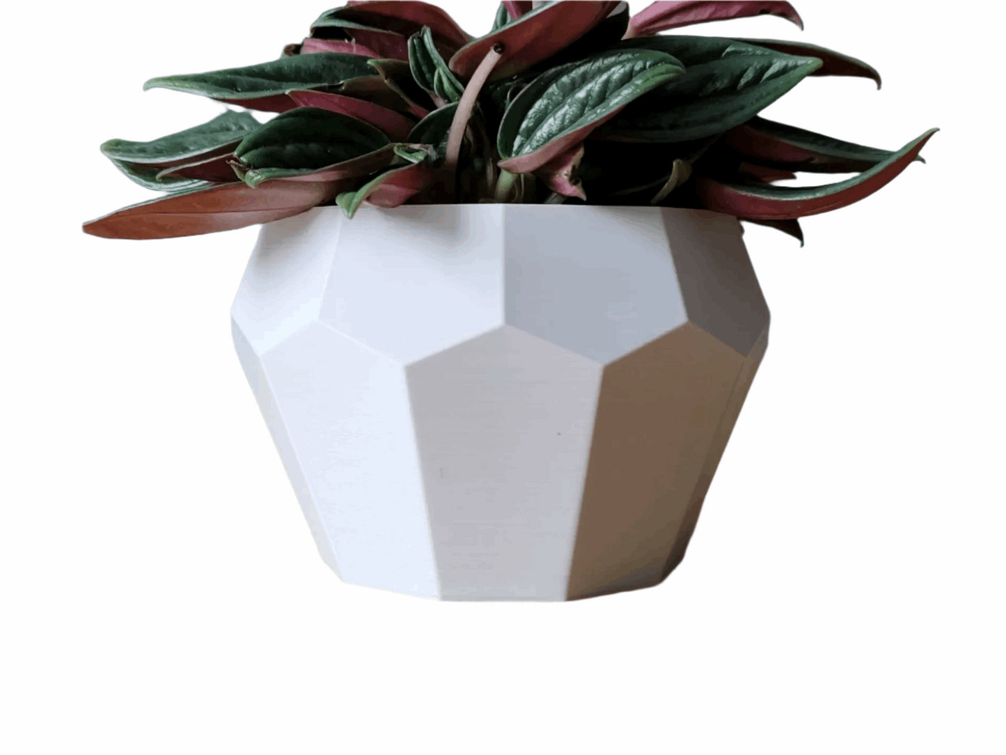Tall Geometrical Bonsai Pot – Elegant 3D-Printed Plant Holder