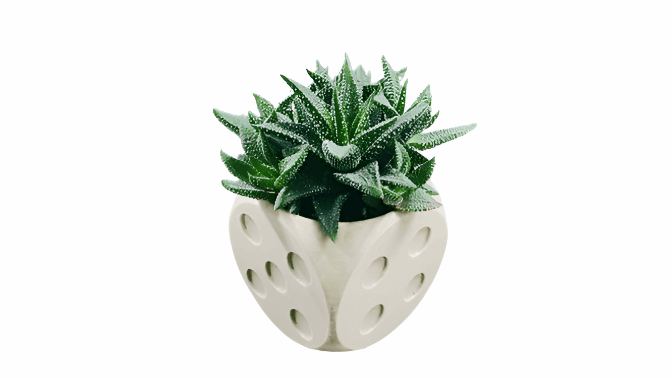 Dice Pot – Unique 3D-Printed Dice-Shaped Decorative Planter