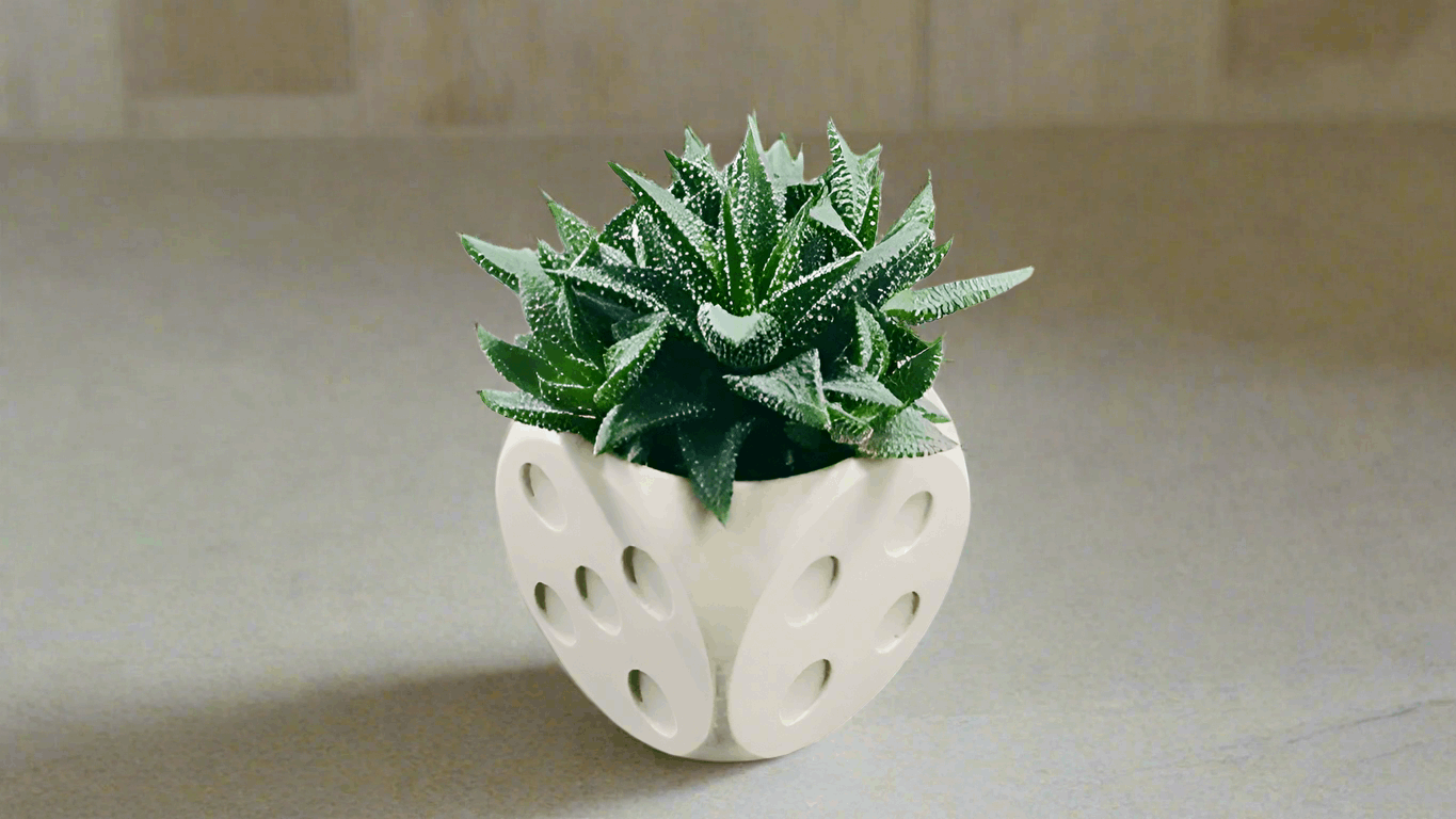 Dice Pot – Unique 3D-Printed Dice-Shaped Decorative Planter